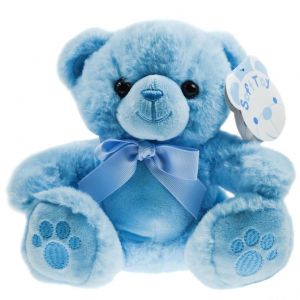 Soft Touch Teddy Bear Paws Blue